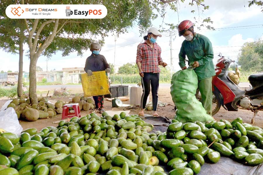 Hộ kinh doanh thu mua nông sản phải thực hiện những nghĩa vụ thuế nào?