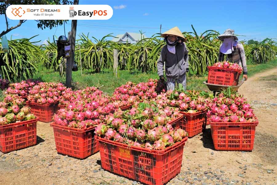 Giao dịch thu mua hộ nông sản có cần hóa đơn đầu vào không?