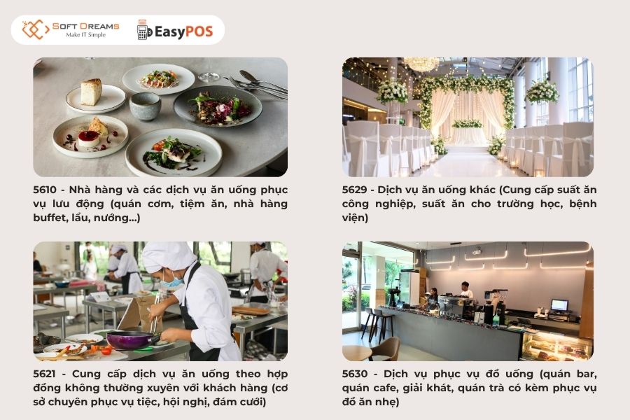 Áp mã ngành chính xác với ngành nghề kinh doanh